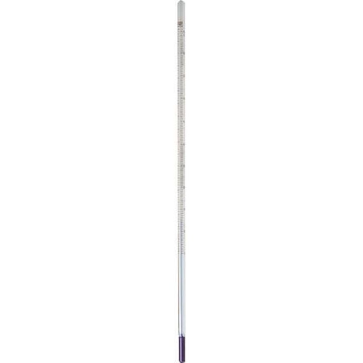 Paterson Thermometer Color 12" (Temperature Range 15-65°C)