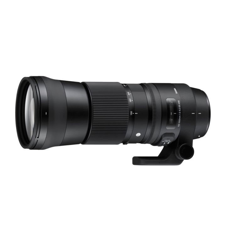 Sigma 150-600mm f/5-6.3 DG OS HSM Contemporary Lens