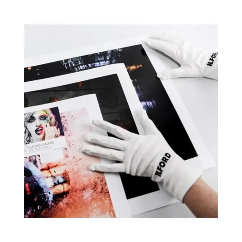 Ilford Galerie Glove (Pack of 10 Pairs)