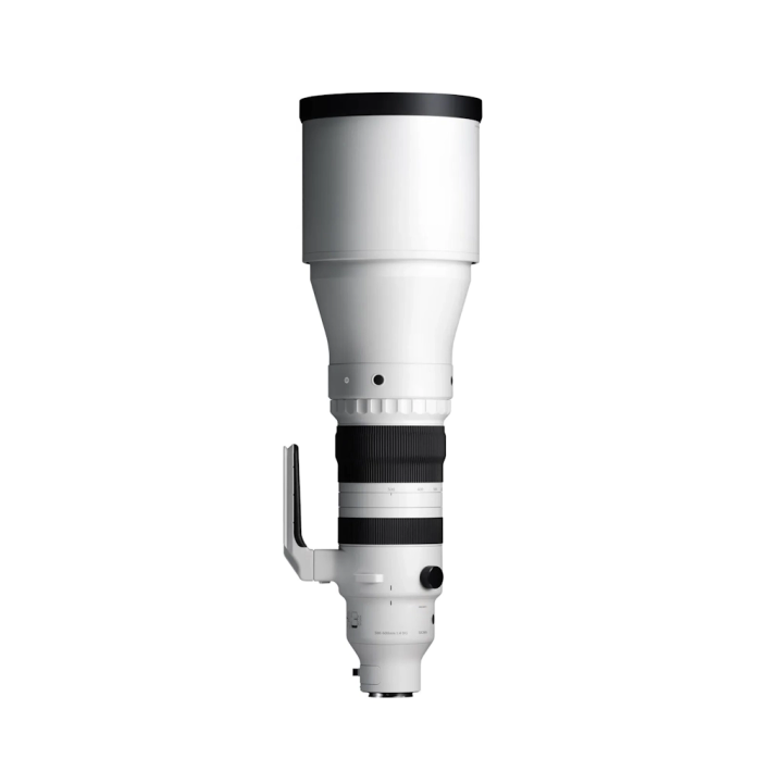 Sigma 300-600mm f/4 DG OS Sports Lens for Sony E-Mount