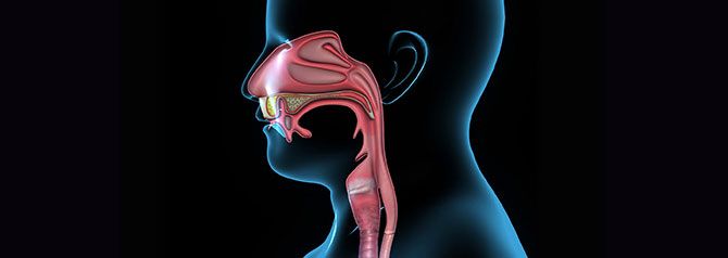 ENT, Ear, Nose and Throat, Speech Pathology Products Australia