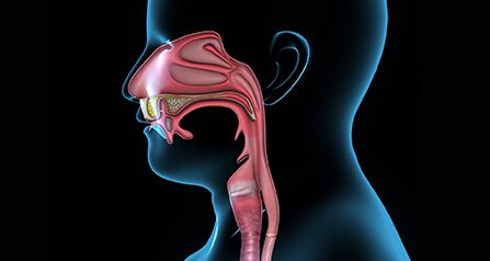 ENT, Ear, Nose and Throat, Speech Pathology Products Australia