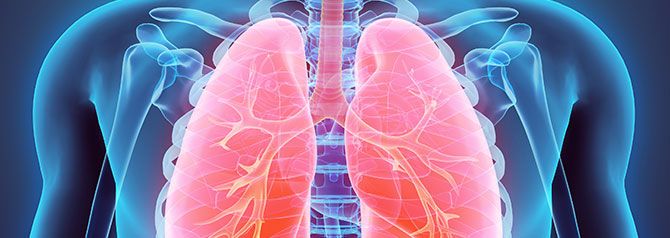 Pulmonary and Airway Management Products Australia