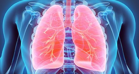 Pulmonary and Airway Management Products Australia