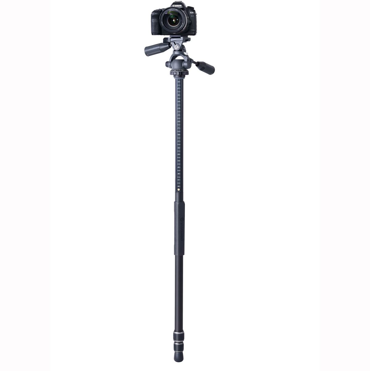 Vanguard VEO 3+ 263AP Pro Tripod / Monopod with PH-38 Pan Head