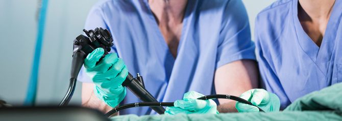 Endoscopy Products New Zealand