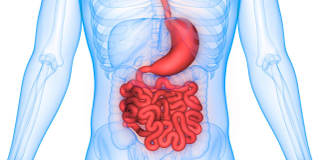 Endoscopy