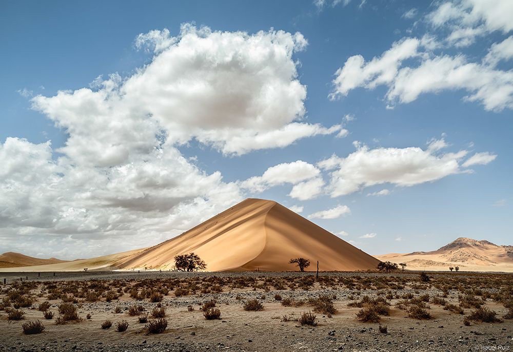 IsabelRuiz02-SandDune.jpg
