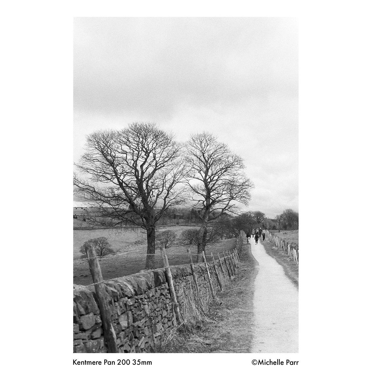 Kentmere PAN ISO 200 35mm 36 Exposure Black & White Film