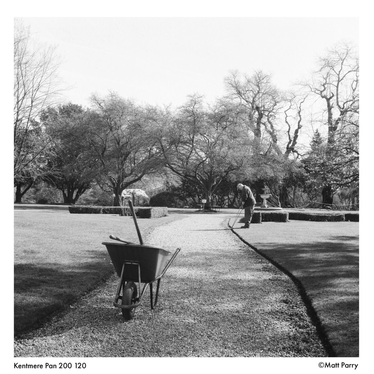 Kentmere PAN ISO 200 120 Roll Black & White Film