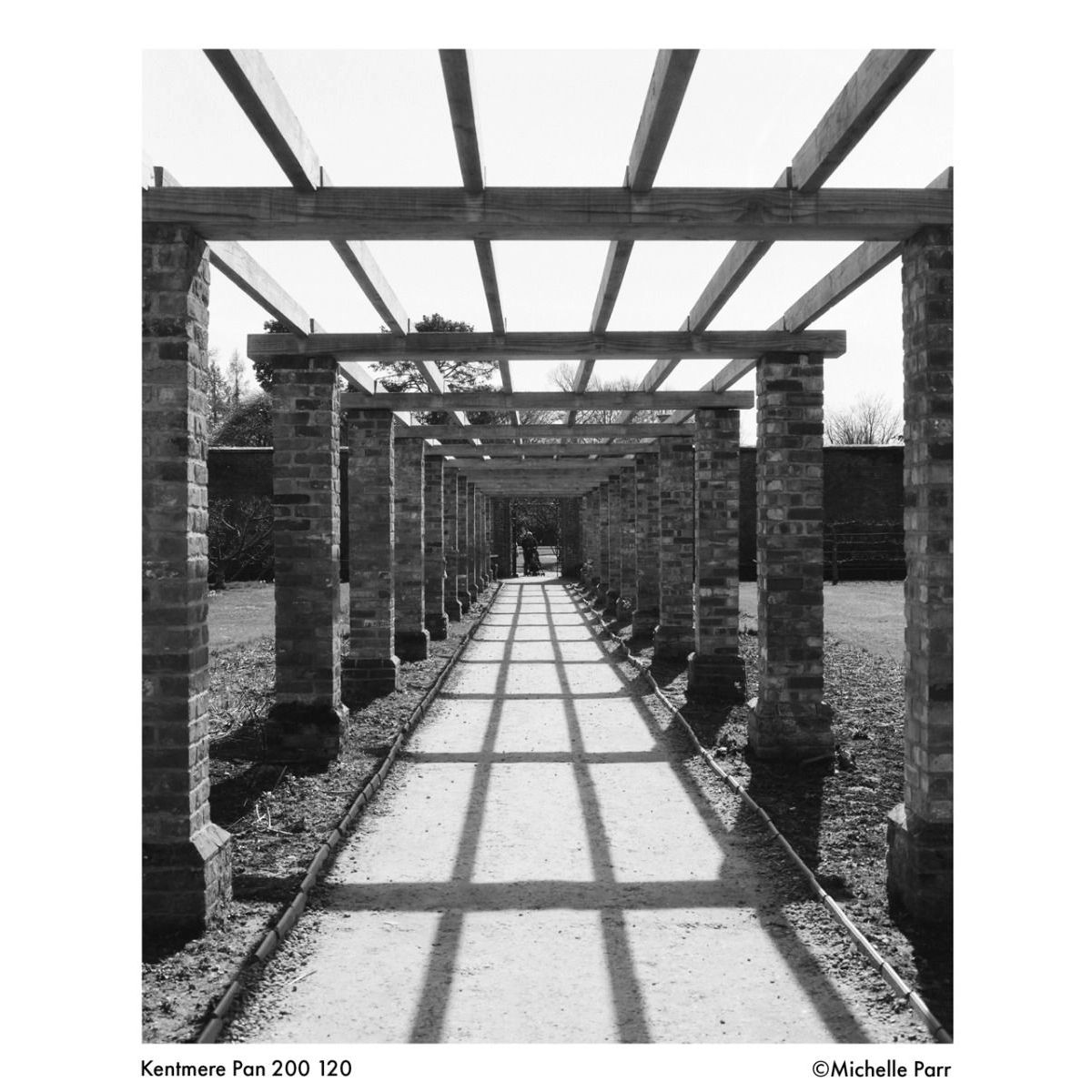 Kentmere PAN ISO 200 120 Roll Black & White Film