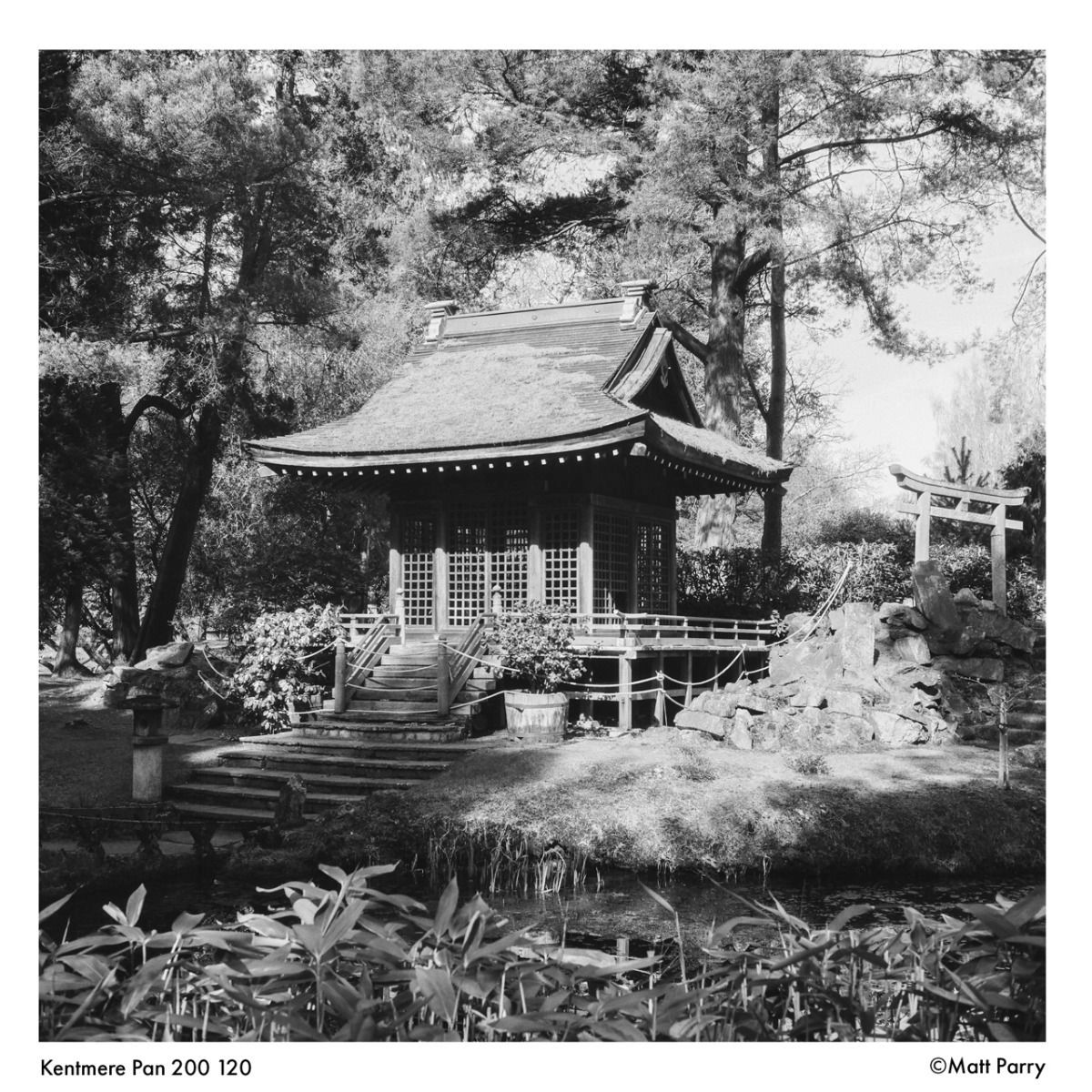 Kentmere PAN ISO 200 120 Roll Black & White Film