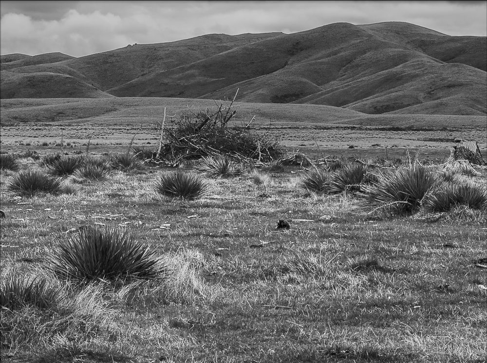 xt_centralotago06.tag.blog.jpg