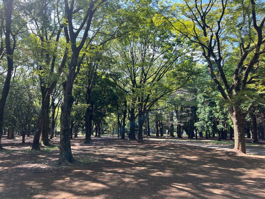 Kenko EXAPRO Clip Lens 8x Telephoto EXP-CL820T for Smartphone