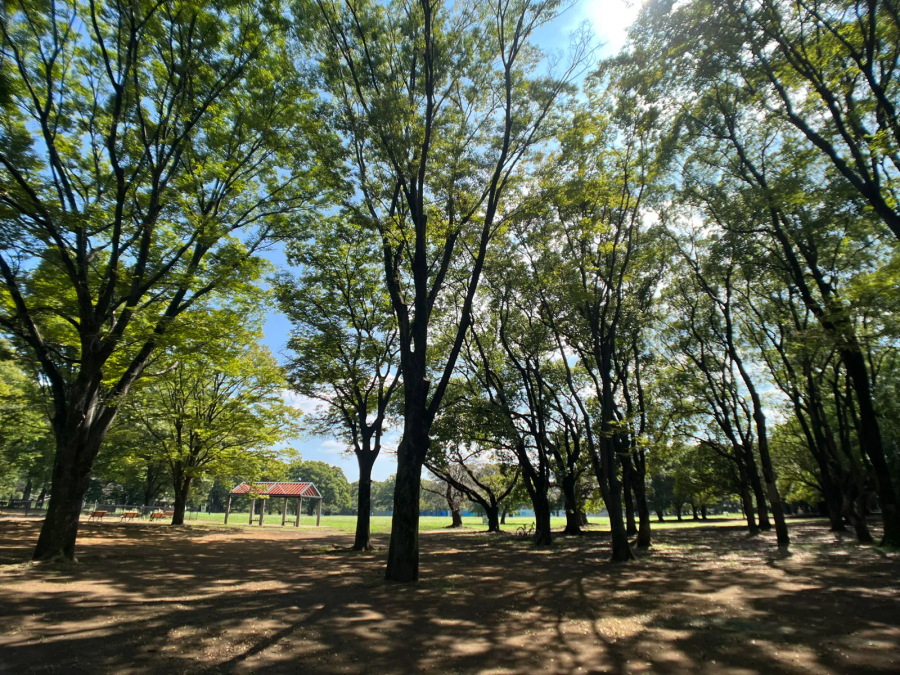 Kenko EXAPRO Clip Lens Wide EXP-CLW for Smartphone