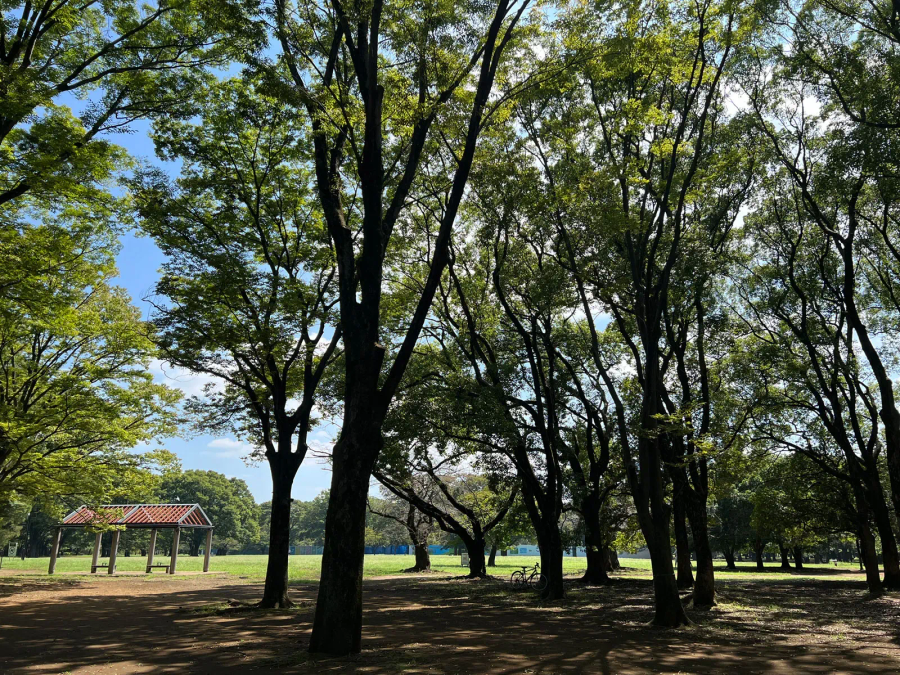 Kenko EXAPRO Clip Lens Wide EXP-CLW for Smartphone